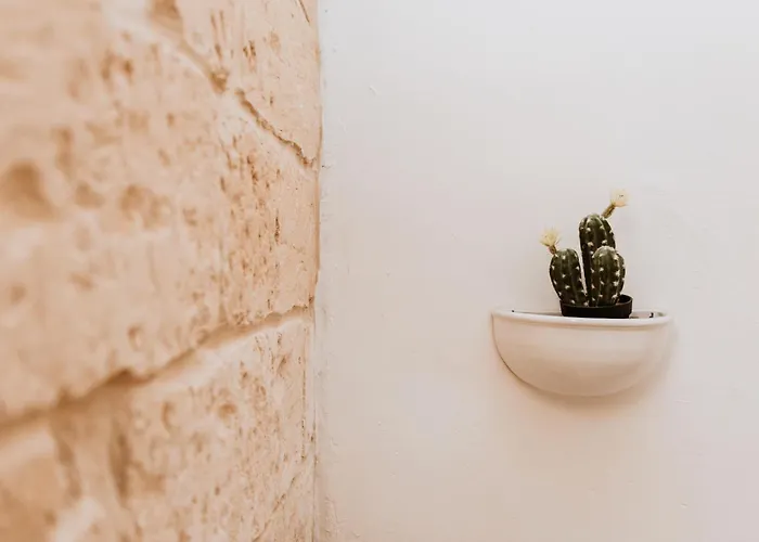 Terrae Hydrunti 住宿加早餐酒店 4*